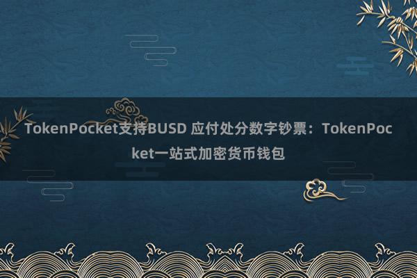 TokenPocket支持BUSD 应付处分数字钞票：TokenPocket一站式加密货币钱包