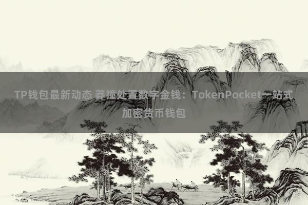 TP钱包最新动态 莽撞处置数字金钱：TokenPocket一站式加密货币钱包